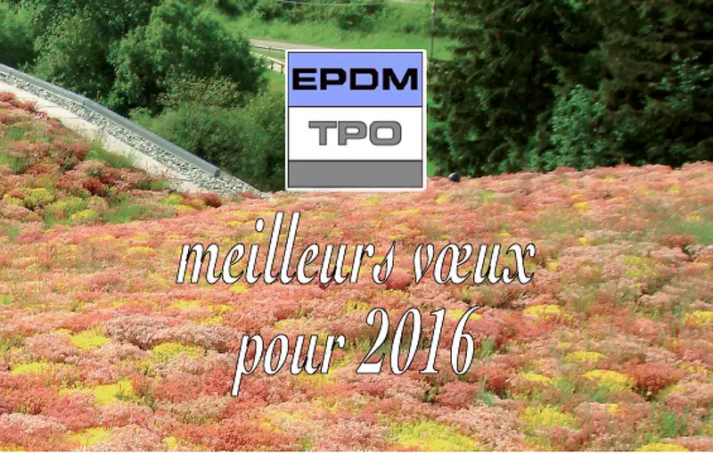 illustration vœux de bonne année 2016