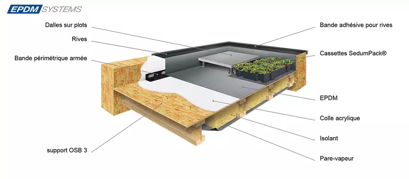 Sch&eacute;ma technique EPDM Systems - Toiture Froide : support bois, colle acrylique, &eacute;tanch&eacute;it&eacute; EPDM, finitions rives laqu&eacute;e RAL 7016 ; facultatif : dalles sur plots ou v&eacute;g&eacute;talisation cassettes SedumPack&reg;.