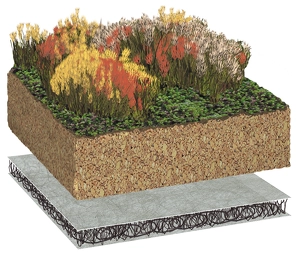 sch&eacute;ma du syst&egrave;me de v&eacute;g&eacute;talisation extensif avec natte de protection drainante et filtrante