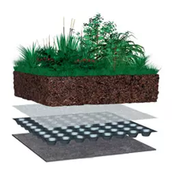 sch&eacute;ma du syst&egrave;me de v&eacute;g&eacute;talisation syst&egrave;me semi-intensive avec g&eacute;otextile, drain de 40mm, feutre filtrant, entre 12 et 20 cm d'&eacute;paisseur de substrat, et v&eacute;g&eacute;taux vari&eacute;s : sedum, vivaces et gramin&eacute;es.
