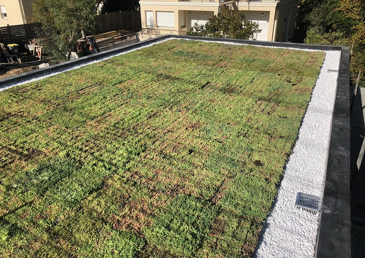 42 m&sup2; système de cassettes pré-cultivées SedumPack®