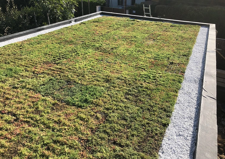 42 m² système de cassettes pré-cultivées SedumPack®