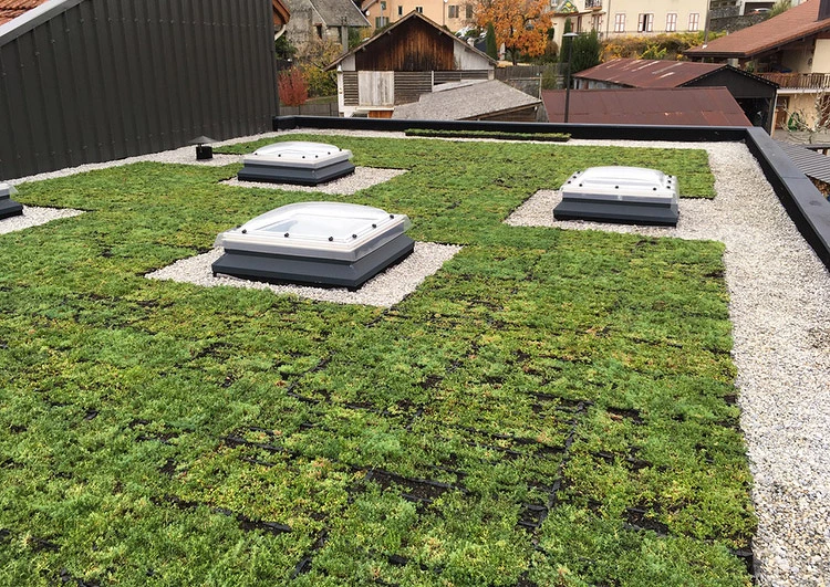 Toiture végétale en cassettes pré-cultivées SedumPack