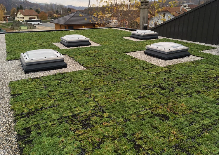 Toiture végétale en cassettes pré-cultivées SedumPack