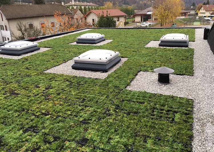 Toiture végétale en cassettes pré-cultivées SedumPack