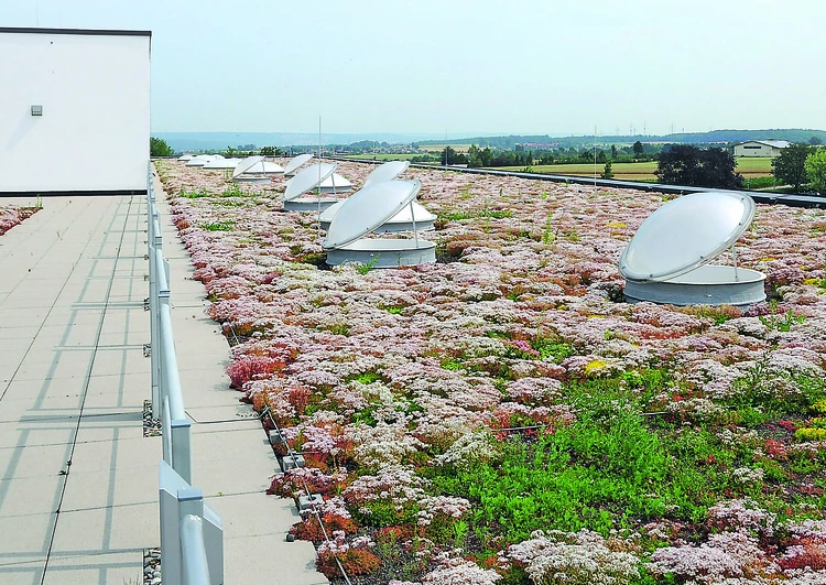 au premier plan une grande toiture plate végétalisée avec de nombreux puit de lumière ouverts, à l'arrière plan une zone rurale avec des champs