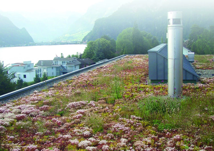 au premier plan toiture plate végétalisée avec sortie de ventilation et de conduit de cheminée, à l'arrière plan quelques maisons et un lac dans une région montagneuse.